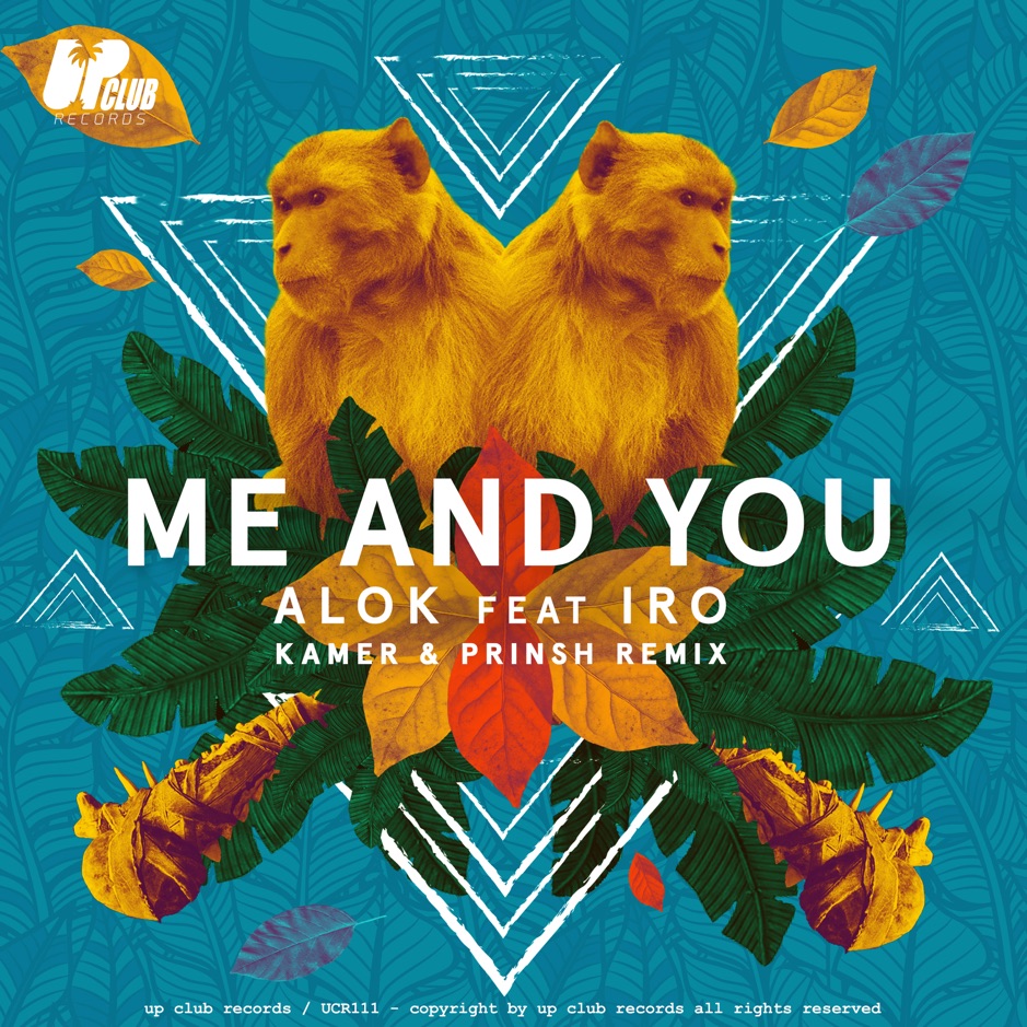 Alok » Me and You (Kamer & PRINSH! Remix) Lyrics