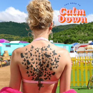 Taylor Swift » You Need To Calm Down Lyrics