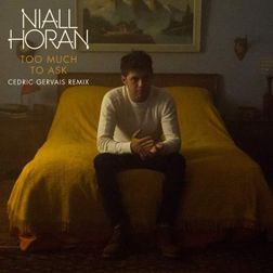 Niall Horan » Too Much To Ask (Cedric Gervais Remix) Lyrics