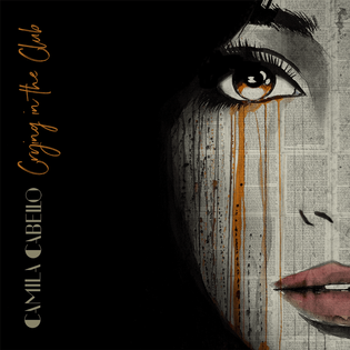 Camila Cabello » Crying In The Club Lyrics