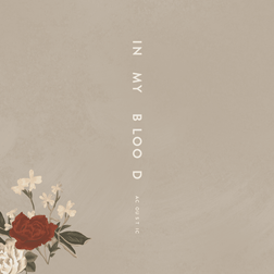 Shawn Mendes » In My Blood (Acoustic) Lyrics