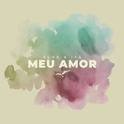 Alok » Meu Amor Lyrics