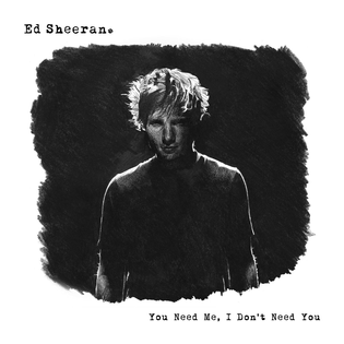 Ed Sheeran » You Need Me, I Don’t Need You Lyrics