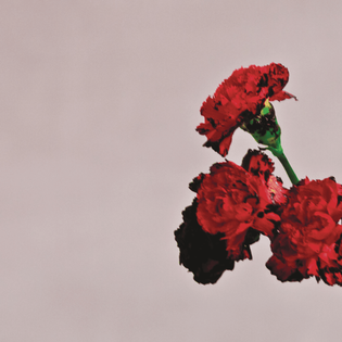 John Legend » The Beginning Lyrics