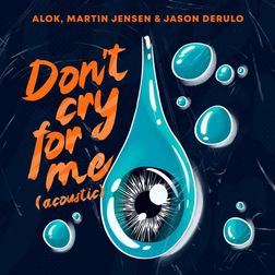 Alok » Don’t Cry For Me (Acoustic) Lyrics