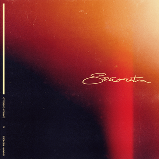 Camila Cabello » Señorita Lyrics