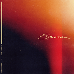 Shawn Mendes » Señorita Lyrics