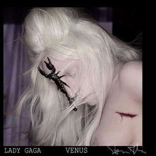 Lady Gaga » Venus Lyrics