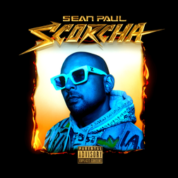 Sean Paul » No Fear Lyrics