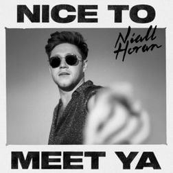 Niall Horan » Nice to Meet Ya Lyrics