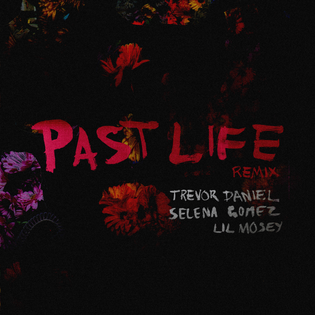 Selena Gomez » Past Life (Remix) Lyrics