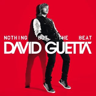 David Guetta » Nothing Really Matters Lyrics