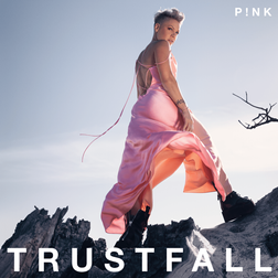 P nk » Feel Something Lyrics