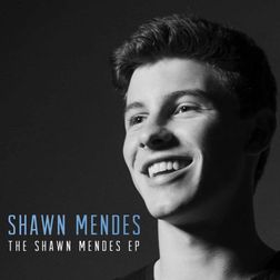 Shawn Mendes » The Weight Lyrics