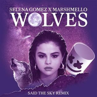 Selena Gomez » Wolves (Said the Sky Remix) Lyrics