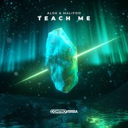 Alok » Teach Me Lyrics