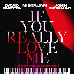 David Guetta » If You Really Love Me (How Will I Know) Lyrics