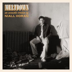 Niall Horan » Meltdown (Acoustic) Lyrics