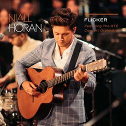 Niall Horan » Too Much to Ask (Live) Lyrics