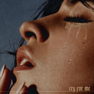 Camila Cabello » Cry for Me Lyrics