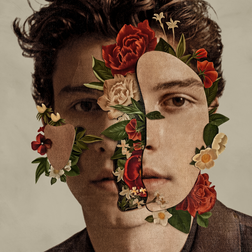 Shawn Mendes » Fallin’ All in You Lyrics