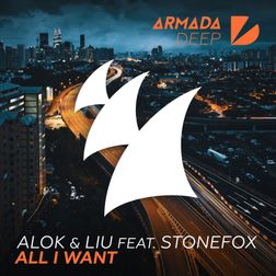 Alok » All I Want Lyrics