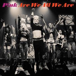 P nk » Are We All We Are Lyrics