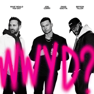 David Guetta » What Would You Do? Lyrics