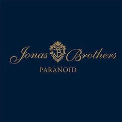 Jonas Brothers » Paranoid Lyrics