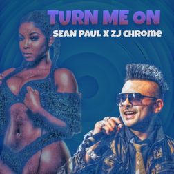 Sean Paul » Turn Me On Lyrics