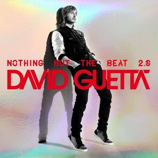 David Guetta » Every Chance We Get We Run Lyrics