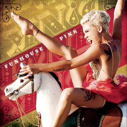 P nk » Why Did I Ever Like You Lyrics