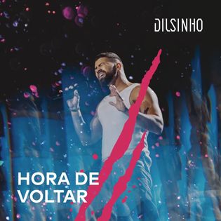 Dilsinho » Hora de Voltar Lyrics