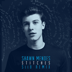 Shawn Mendes » Stitches (Seeb Remix) Lyrics