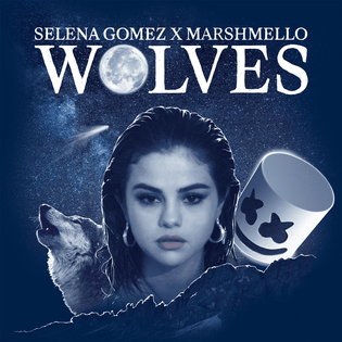 Selena Gomez » Wolves Lyrics