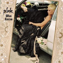 P nk » Who Knew Lyrics