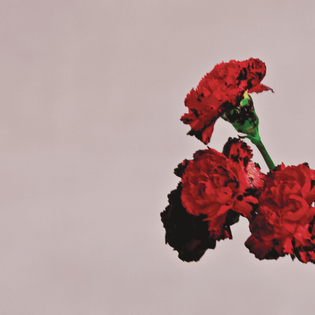 John Legend » So Gone Lyrics