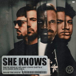 David Guetta » She Knows Lyrics