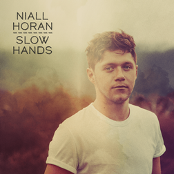 Niall Horan » Slow Hands Lyrics