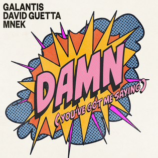 David Guetta » Damn (You’ve Got Me Saying) Lyrics