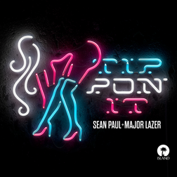 Sean Paul » Tip Pon It Lyrics