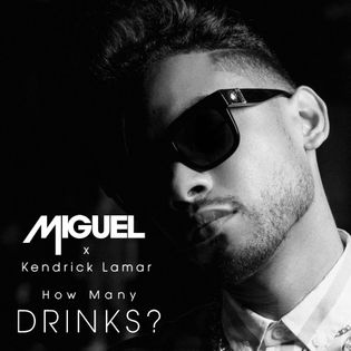 Miguel » How Many Drinks? (Remix) Lyrics