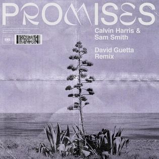 David Guetta » Promises (David Guetta Remix) Lyrics