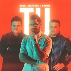 Alok » TU Lyrics