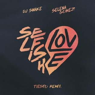 Selena Gomez » Selfish Love (Tiësto Remix) Lyrics