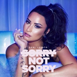 Demi Lovato » Sorry Not Sorry (Clean) Lyrics