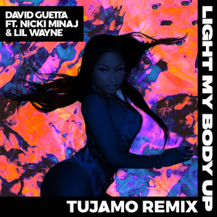 David Guetta » Light My Body Up (Tujamo Remix) Lyrics