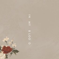 Shawn Mendes » In My Blood (darksiide Remix) Lyrics