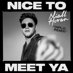 Niall Horan » Nice to Meet Ya (Diplo Remix) Lyrics