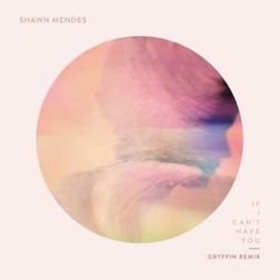 Shawn Mendes » If I Can’t Have You (Gryffin Remix) Lyrics